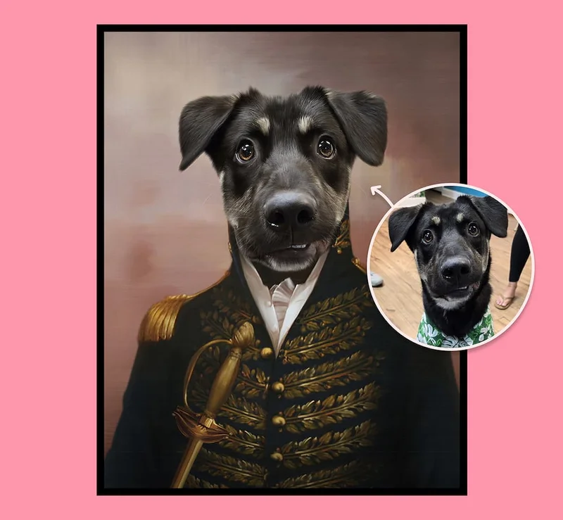 A before and after image of The General pet portrait