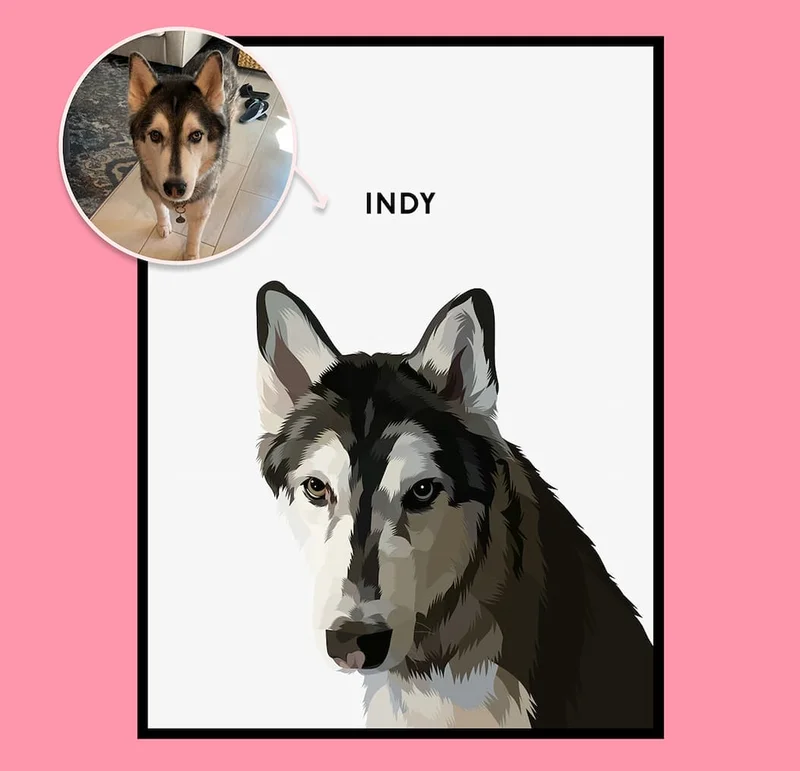 A before and after image of The Modern pet portrait