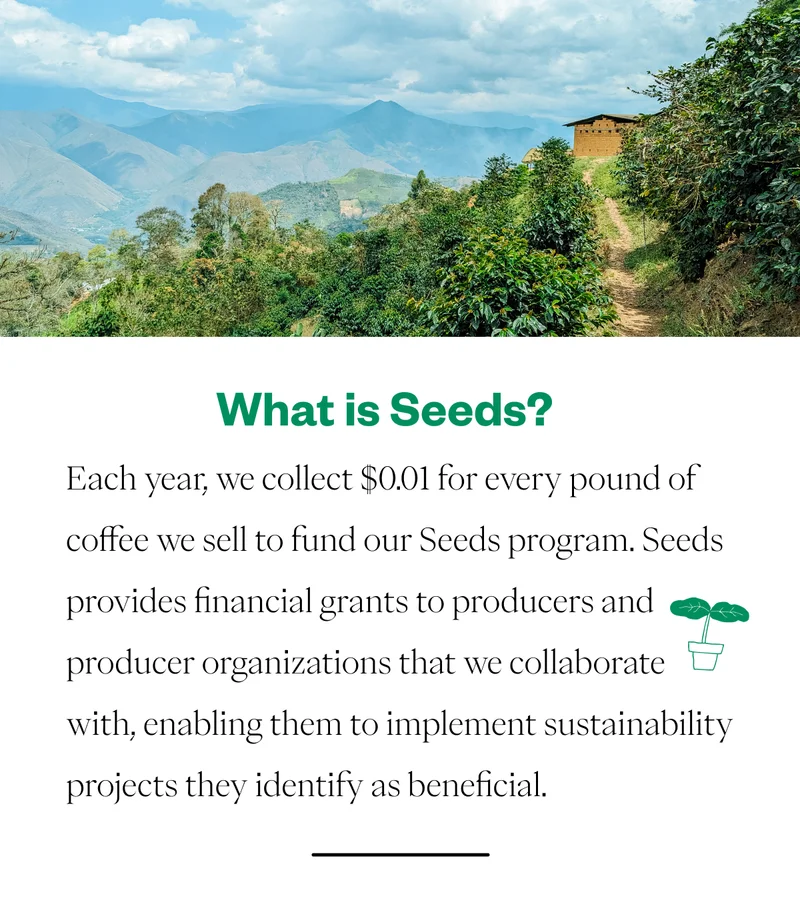 What is Seeds? Each year, we collect $0.01 for every pound of coffee we sell to fund our Seeds program. Seeds provides financial grants to producers and producer organizations that we collaborate with, enabling them to implement sustainability projects they identify as beneficial. What is Seeds? Each year, we collect $0.01 for every pound of coffee we sell to fund our Seeds program. Seeds provides financial grants to producers and producer organizations that we collaborate with, enabling them to implement sustainability projects they identify as beneficial.