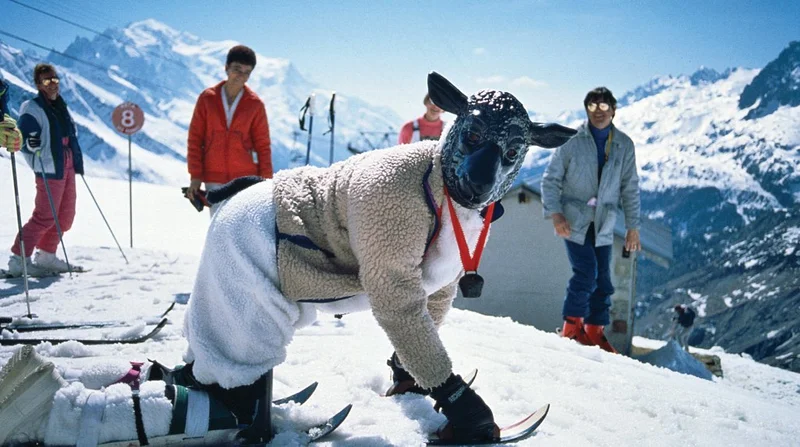 A person on skis dressed like a lamb.