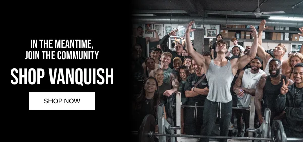 Shop Vanquish in the meantime