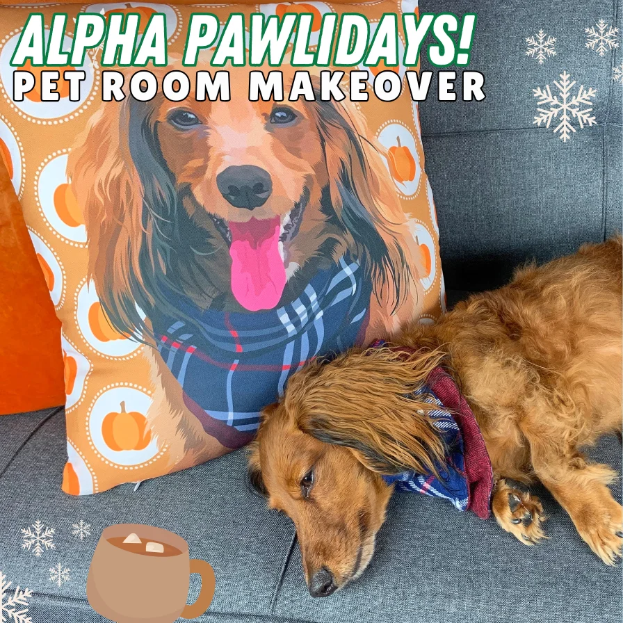 Pawlidays Pet Pillows