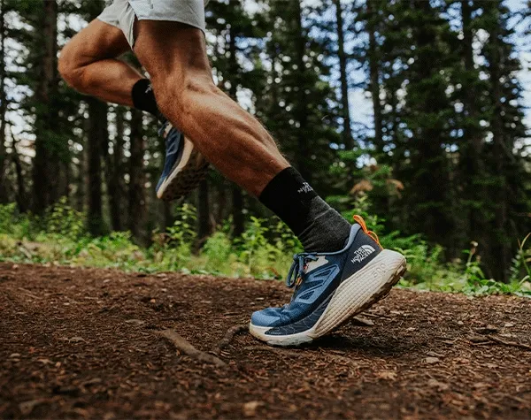 Introducing Altamesa 500