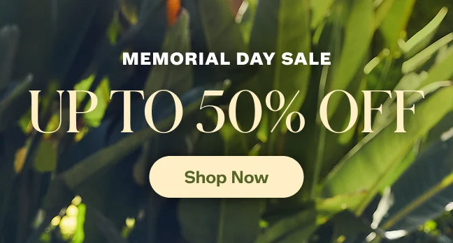 Shop Memorial Day Sale