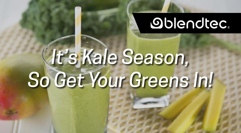 Blendtec Recipes