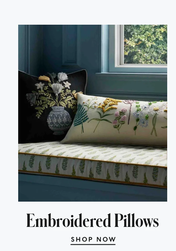 Shop Pillows