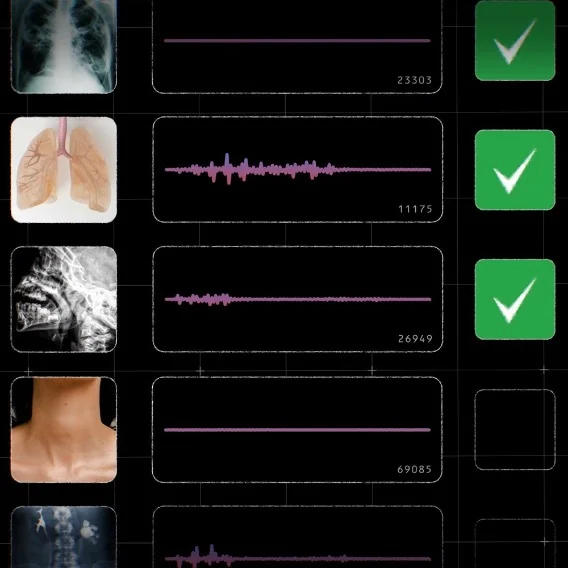 Images of X-rays next to soundwave file images.