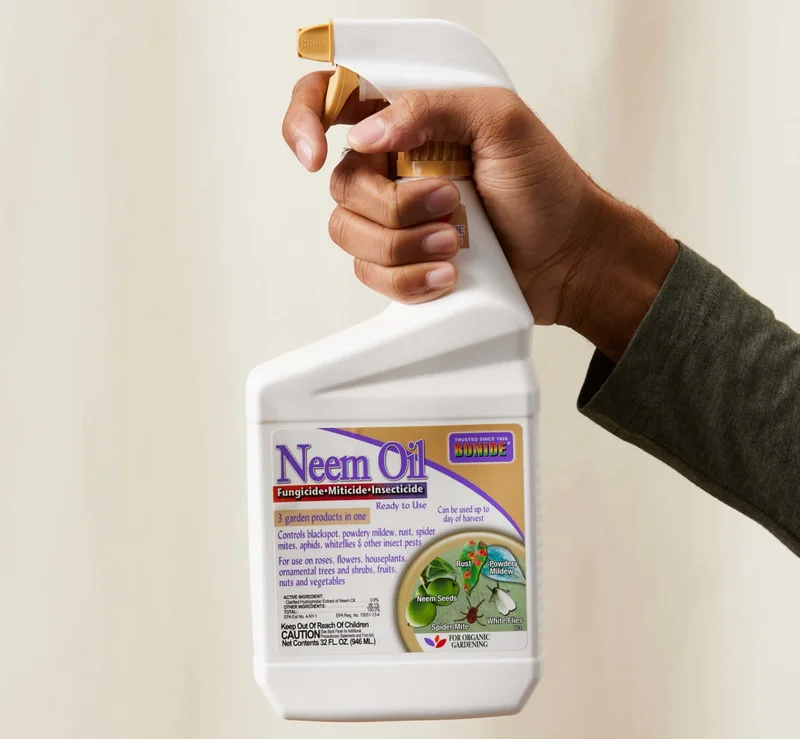 neem oil