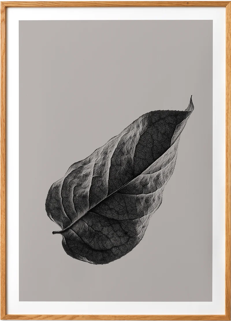 Sabi Leaf 01