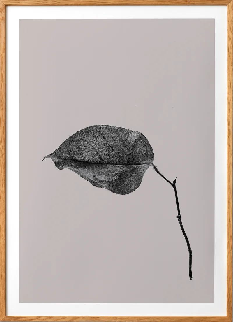 Sabi Leaf 03