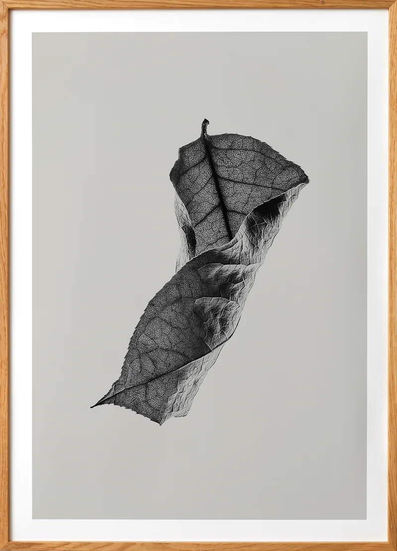 Sabi Leaf 04