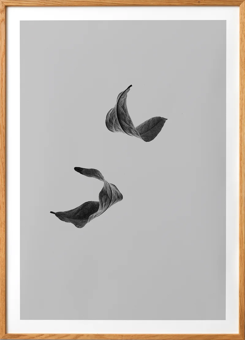 Sabi Leaf 02