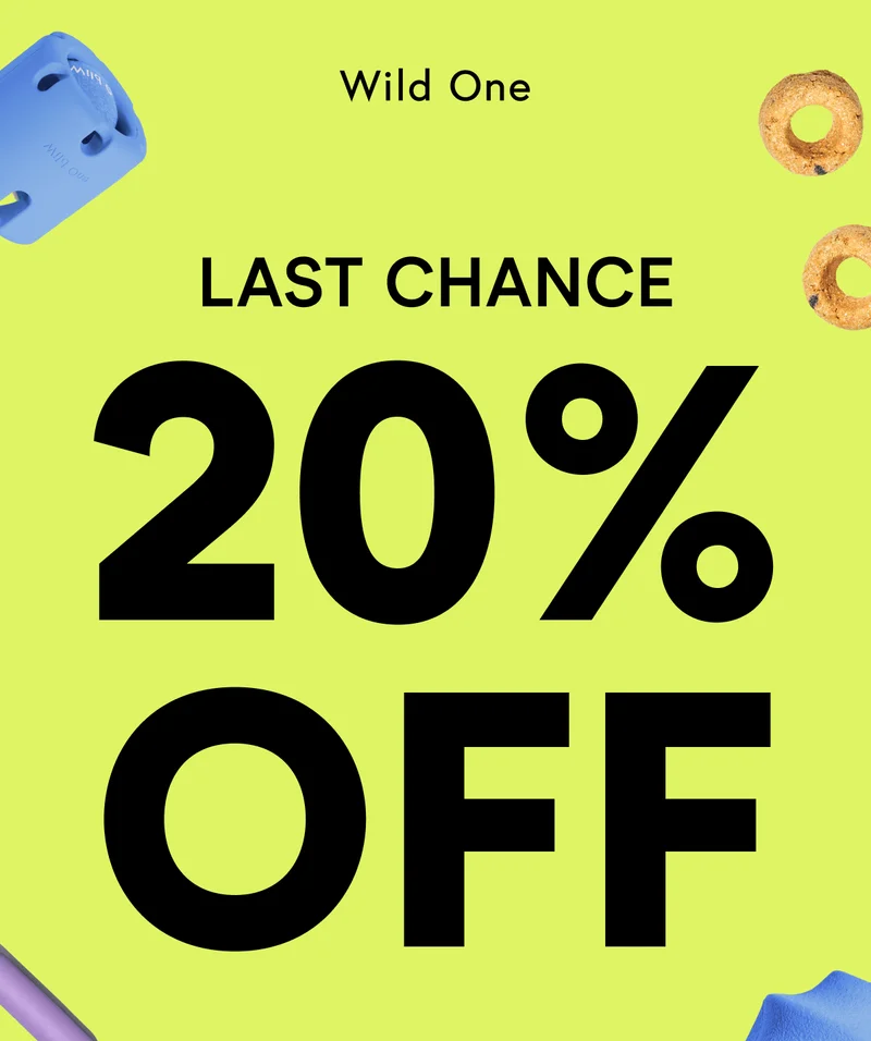 LAST CHANCE 20% OFF