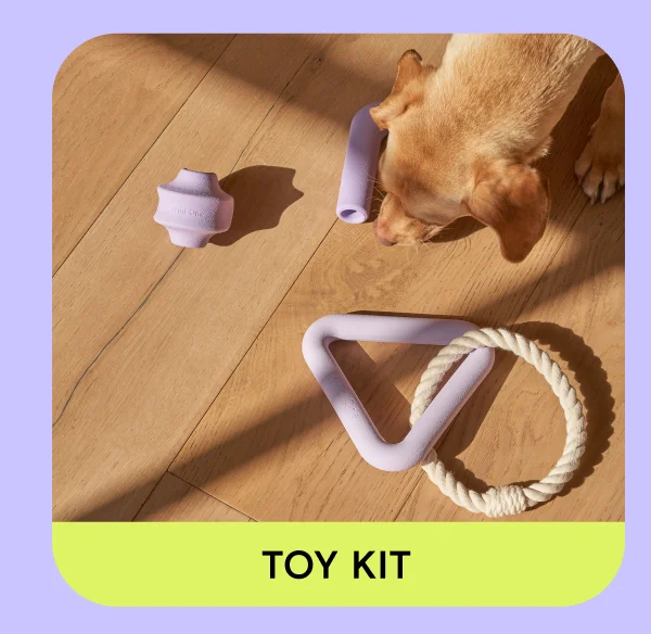toy kit