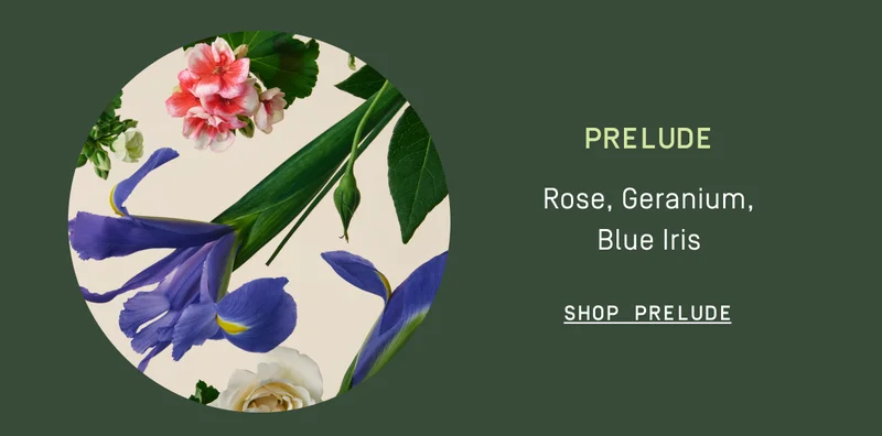 Prelude | Shop Prelude