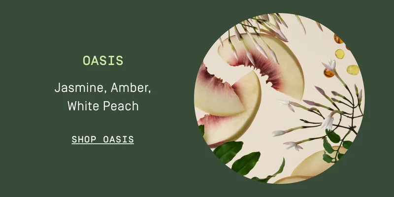 Oasis | Shop Oasis