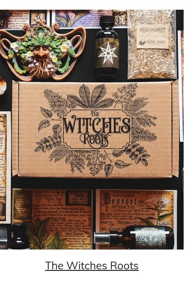 The Witches Roots