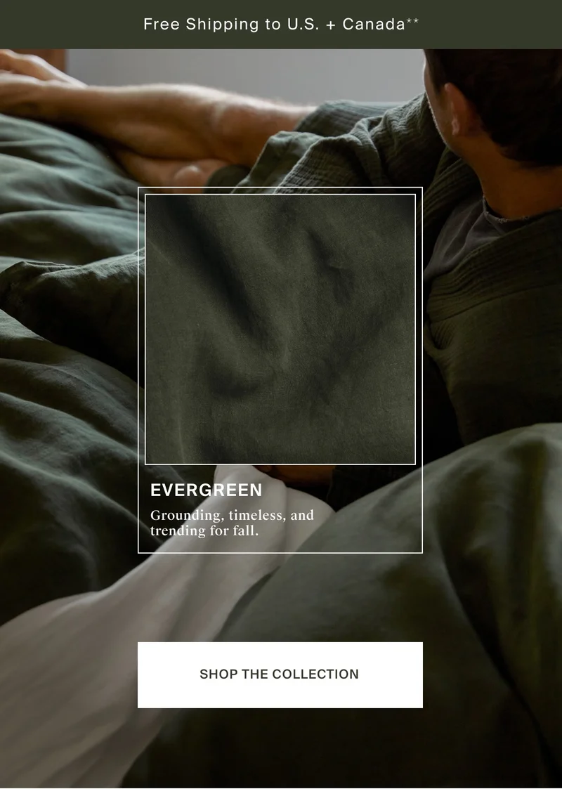 Shop the Evergreen Collection
