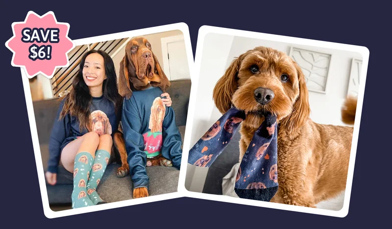 Custom Pet Face Socks