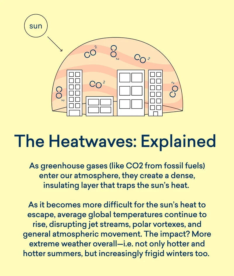 The Heatwaves: Explained