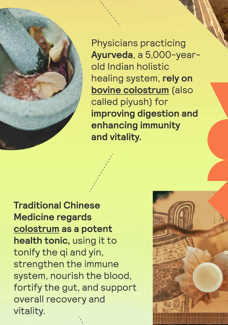 Physicians practicing AYURVEDA, a 5,000-year-old Indian holistic healing system, rely on bovine colostrum (also called piyush) for improving digestion and enhancing immunity and vitality.   TRADITIONAL CHINESE MEDICINE regards colostrum as a potent health tonic, using it to tonify the qi and yin, strengthen the immune system, nourish the blood, fortify the gut, and support overall recovery and vitality.