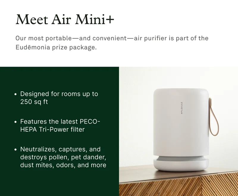 Meet Air Mini+