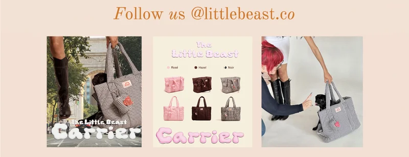Follow us on Instagram