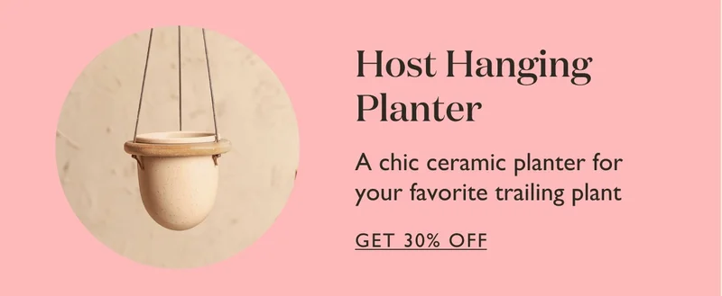 Host Hanging Planter: A chic ceramic planter for your favorite trailing plant