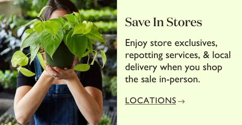 Save In Stores: Enjoy store exclusives, repotting services, and local delivery when you shop the sale in-person today.
