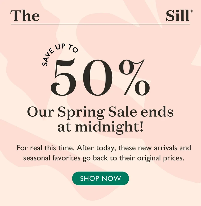 Our Spring Sale ends at midnight! After today, these new arrivals and seasonal favorites go back to their original prices.
