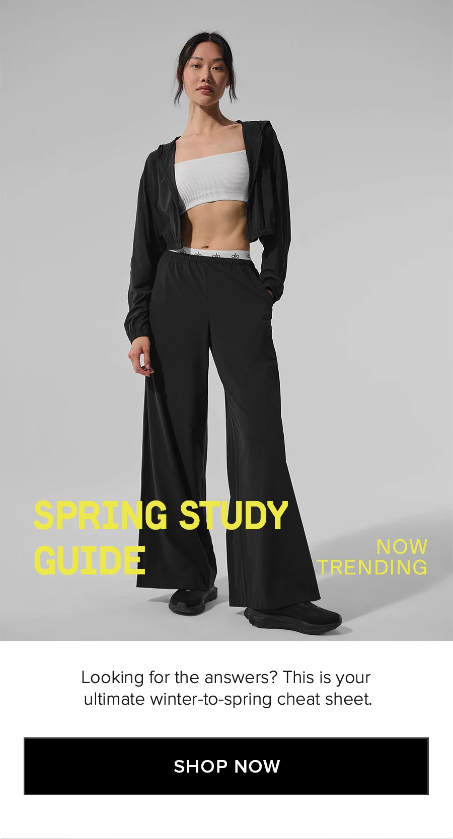 SPRING STUDY GUIDE. NOW TRENDING. Looking for the answers? This isi your ultimate winter-to-spring cheat sheet. SHOP NOW