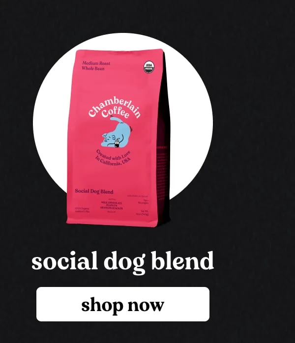 social dog blend