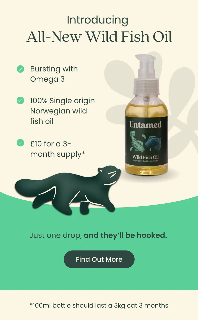Introducing All-New Wild Fish Oil