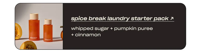 spice break laundry starter pack: whipped sugar + pumpkin puree + cinnamon