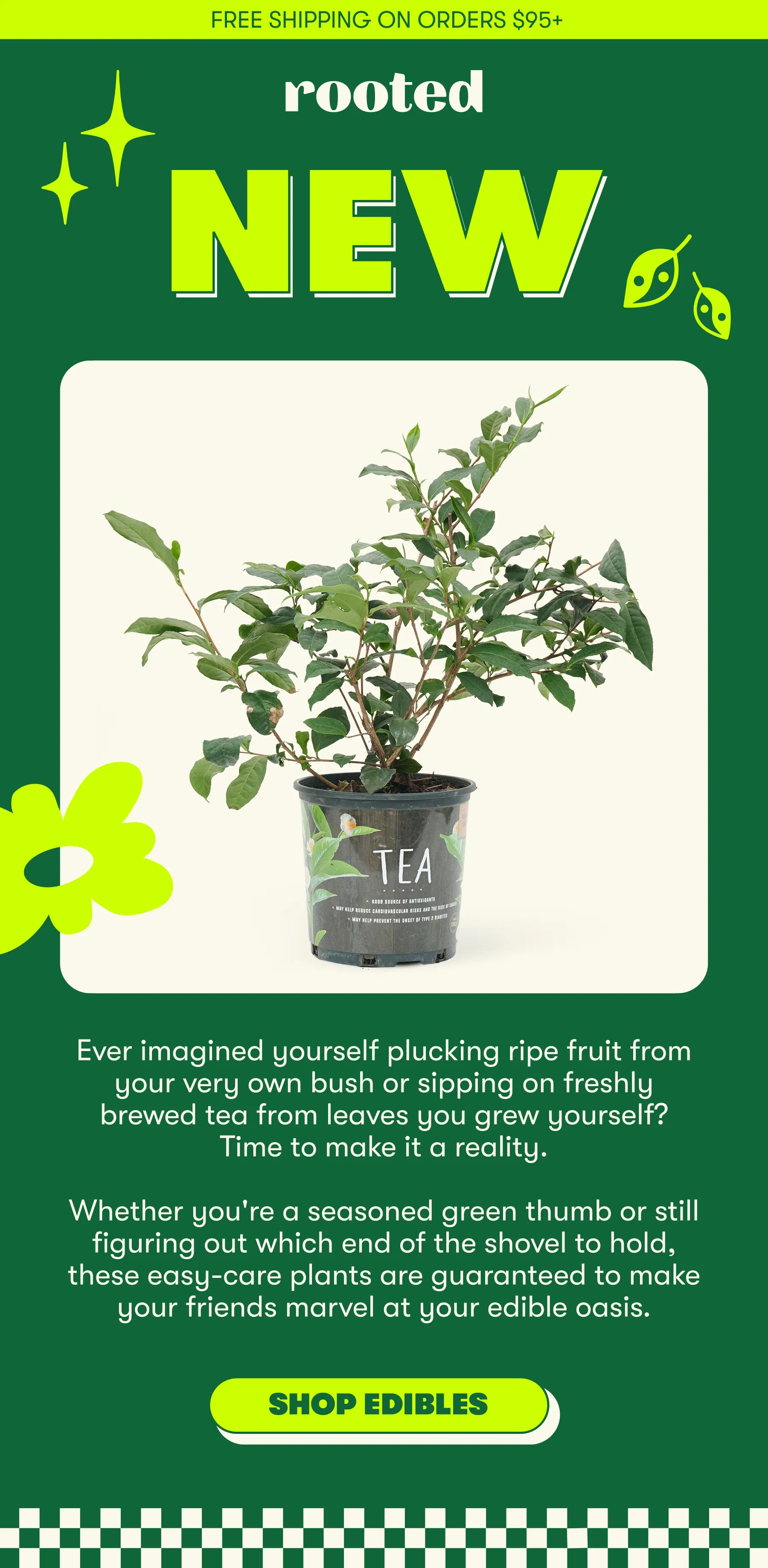 FREE SHIPPING ORDERS $95+ Rooted NEW Ever imagined yourself plucking ripe fruit from your very own bush or sipping on freshly brewed tea from leaves you grew yourself? Time to make it a reality. Whether you're a seasoned green thumb or still figuring out which end of the shovel to hold, these easy-care plants are guaranteed to make your friends marvel at your edible oasis. [SHOP EDIBLES]