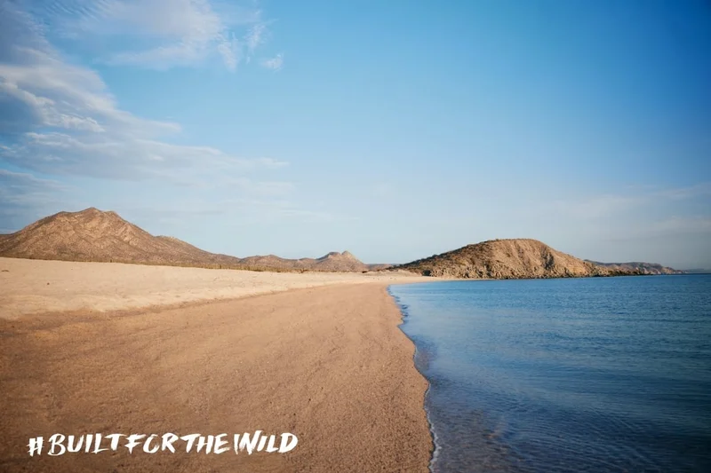 Built For The Wild