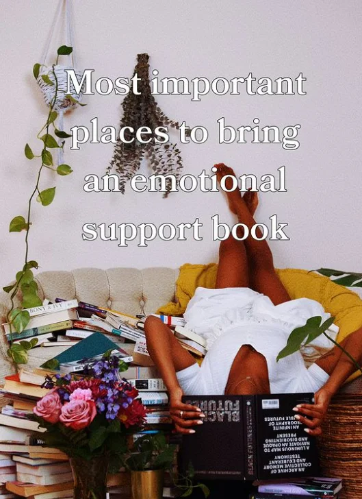 Most important places to bring an emotional support book