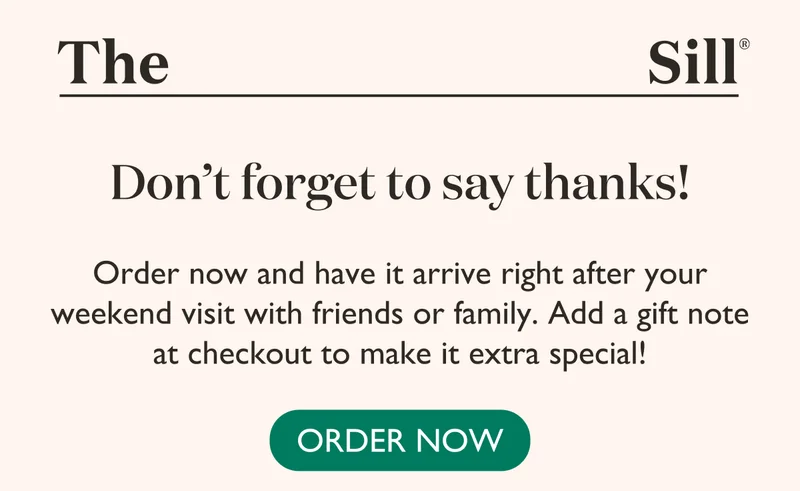 Order now and have it arrive right after your weekend visit with friends and family! Shop now.