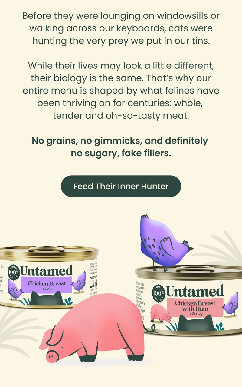Feed Their Inner Hunter