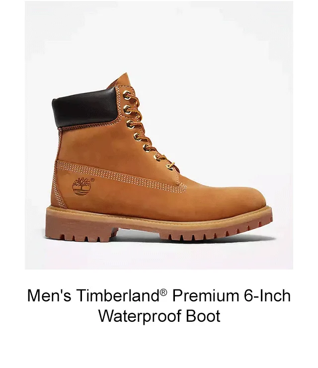 Men's Timberland Premium 6 Inch Waterproof Boot