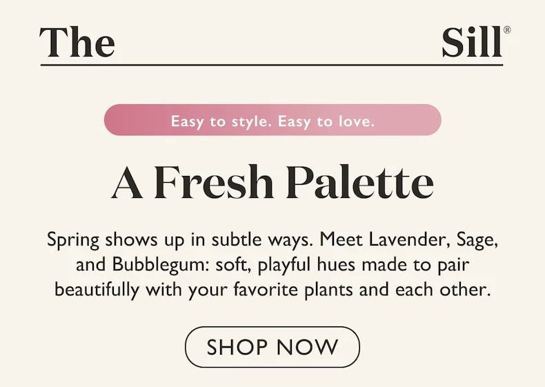 Meet Lavender, Sage, and Bubblegum: soft, playful hues made to pair beautifully with your favorite plants and each other.
