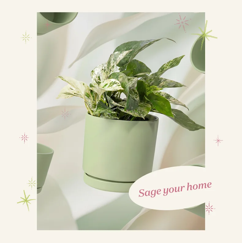 Shop Sage