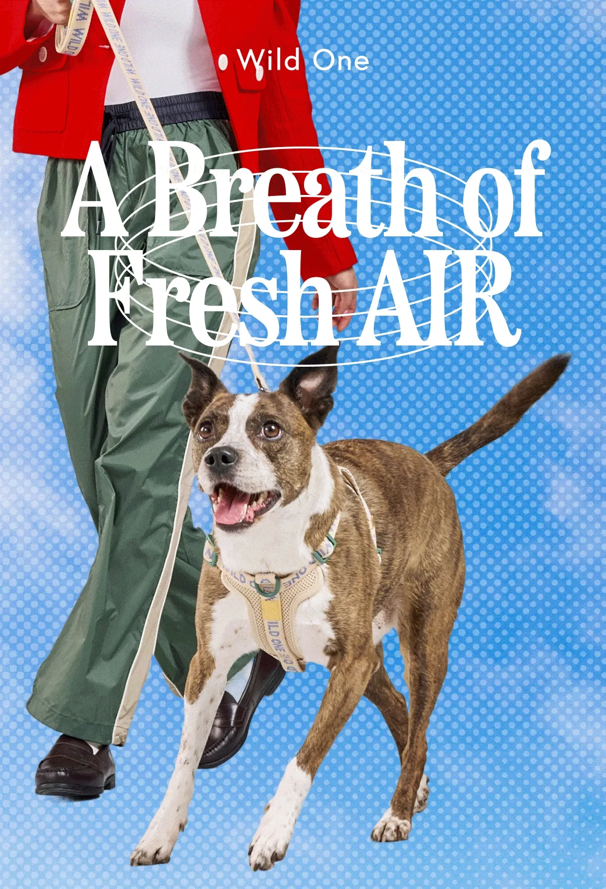 A Breath of Fresh AIR