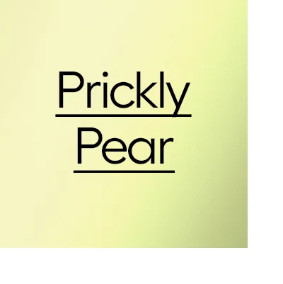 Prickly Pear