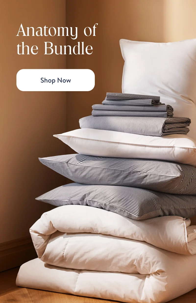 Anatomy of the Bundle