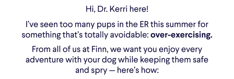 How to keep your dog from Over-Exercising:
