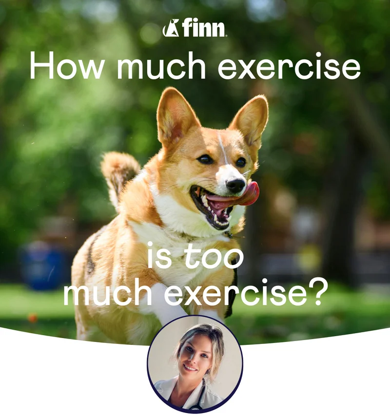 How much exercise is too much exercise? With Dr. Kerri