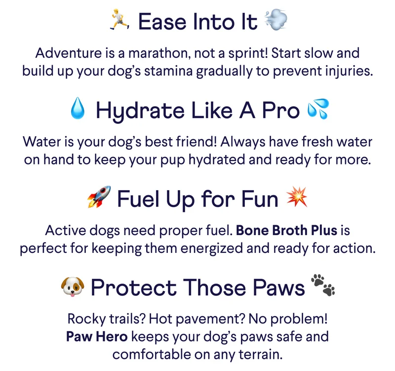 Ease Into It, Hydrate Like A Pro, Fuel Up For Fun, Protect Those Paws