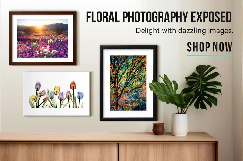 Floral Photography Exposed - Delight with dazzling images.