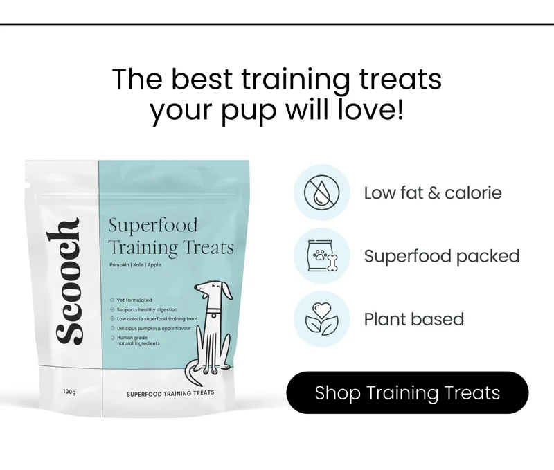 The best training treats your pup will love - Shop Training Treats